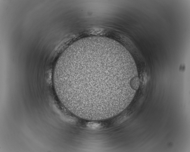 X0000112360602200909241128