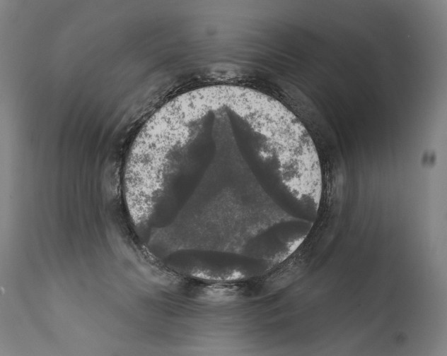 X0000112360606200909241128