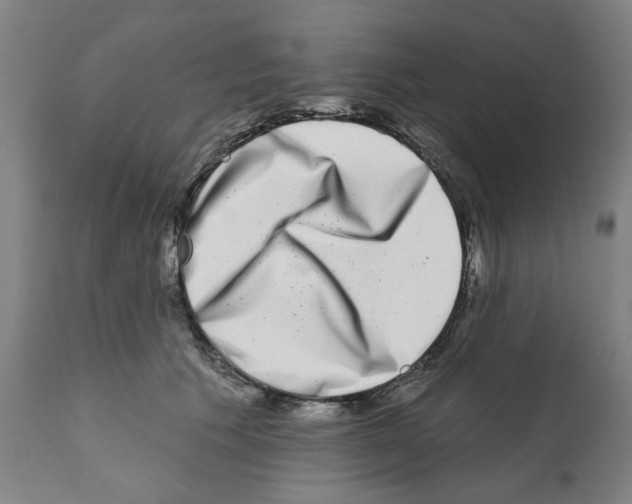 X0000112360609200909241128