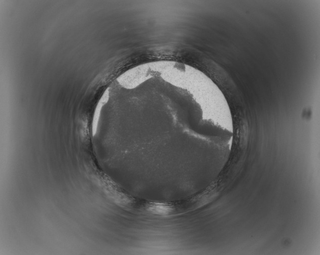 X0000112360610200909241128