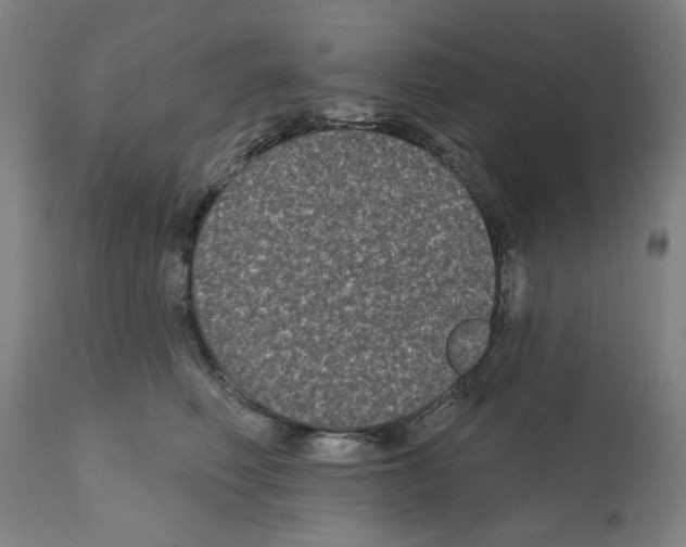 X0000112360614200909241127