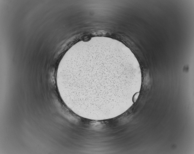 X0000112360616200909241127