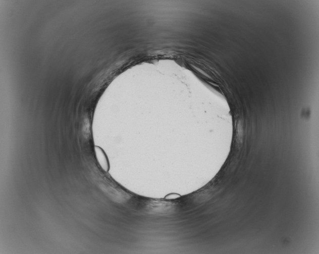 X0000112360617200909241127