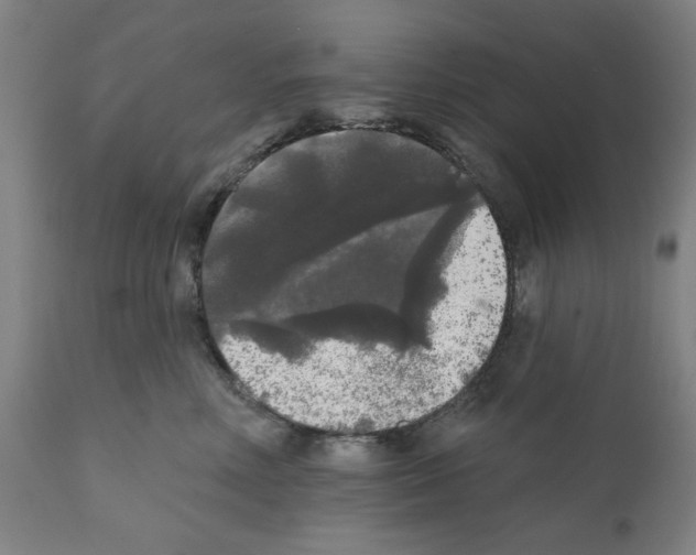 X0000112360618200909241127