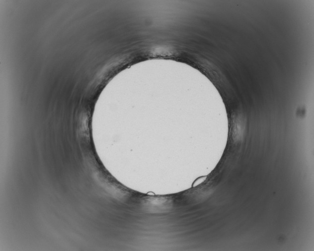 X0000112360619200909241127