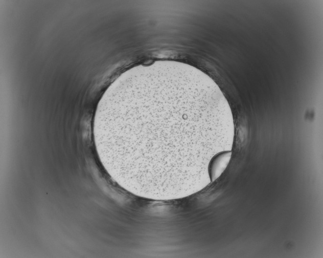X0000112360620200909241127