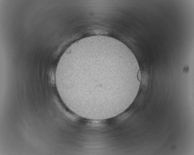 X0000112360622200909241127