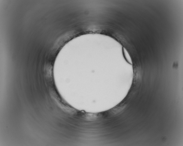 X0000112360623200909241127