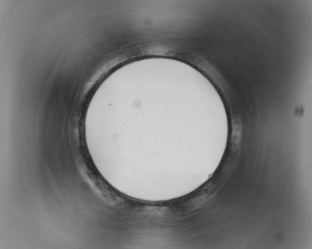 X0000112360626200909241127