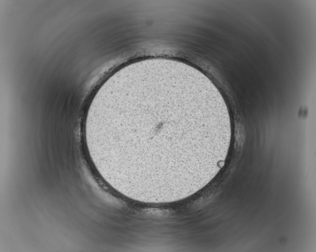 X0000112360629200909241127