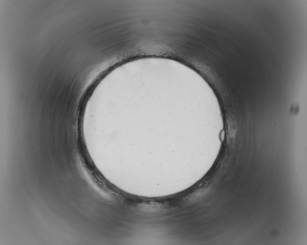 X0000112360630200909241127