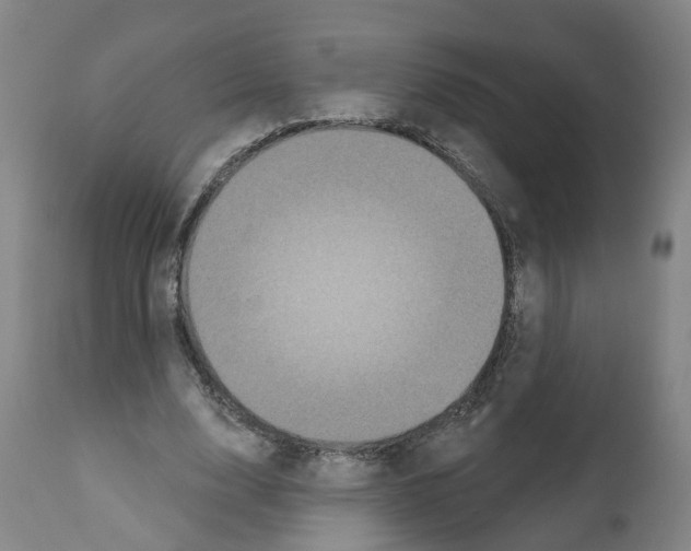 X0000112360632200909241127