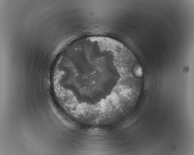 X0000112360634200909241127