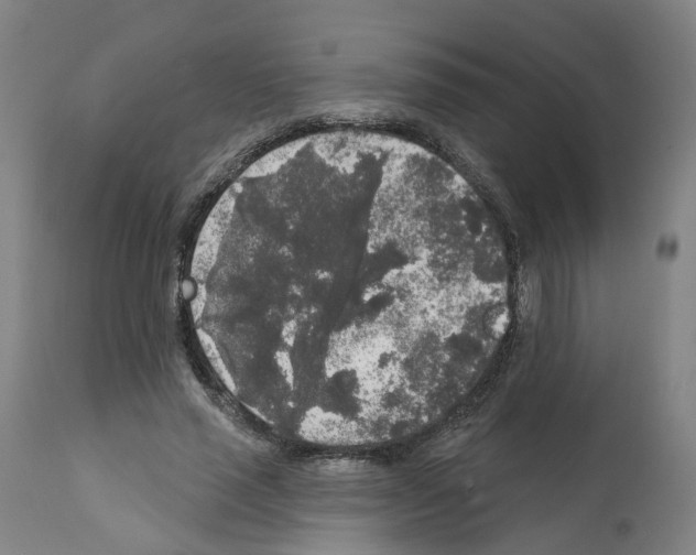 X0000112360637200909241127