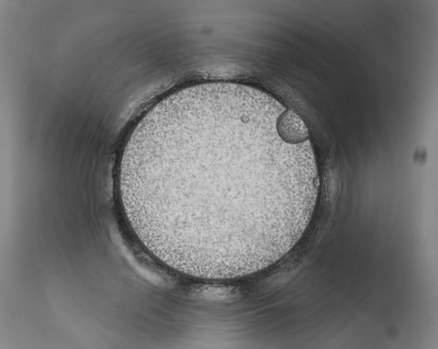 X0000112360638200909241127