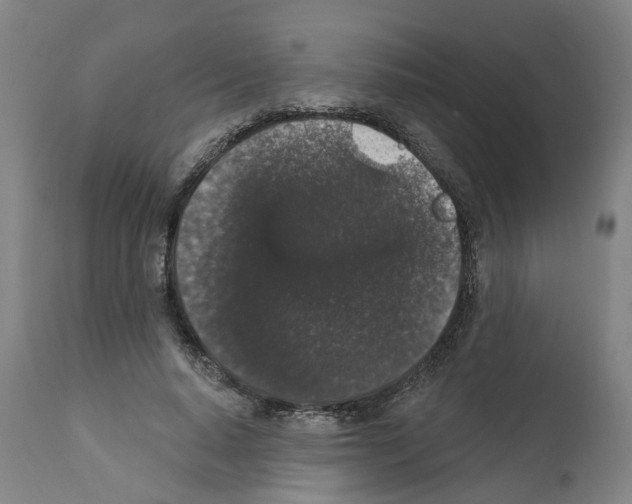 X0000112360640200909241127