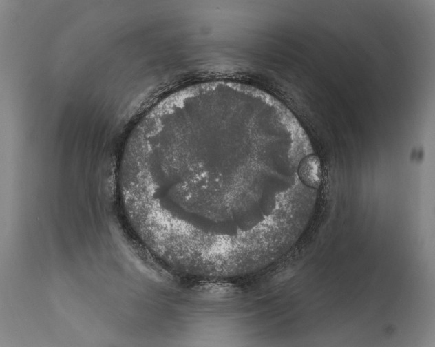 X0000112360642200909241127