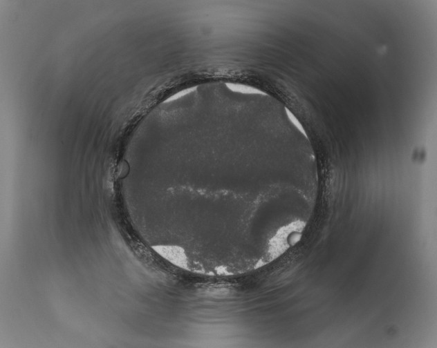 X0000112360643200909241127