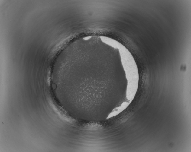 X0000112360644200909241127