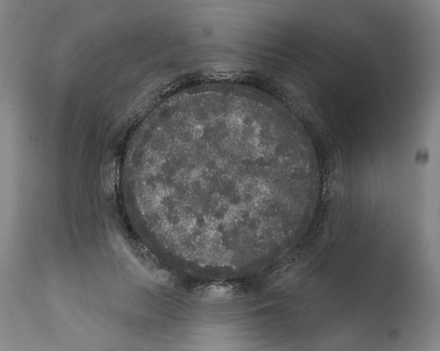 X0000112360647200909241127