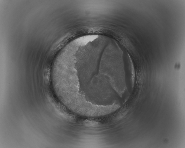 X0000112360648200909241127