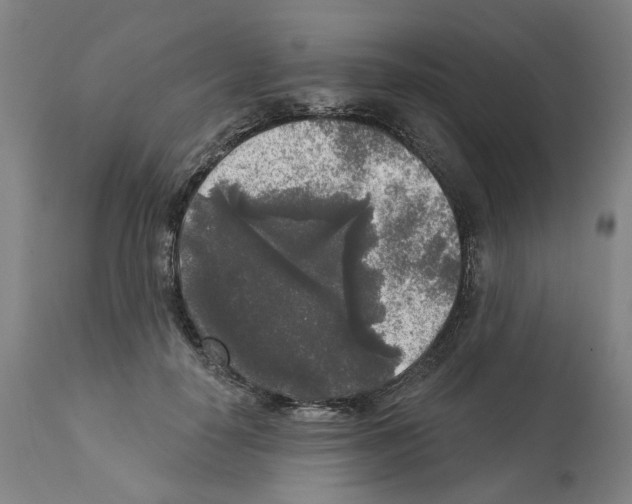 X0000112360650200909241127