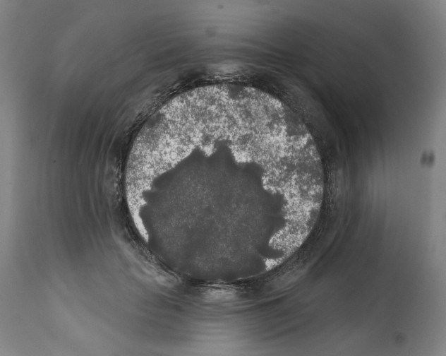 X0000112360653200909241127