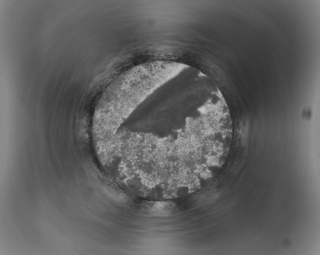 X0000112360663200909241127