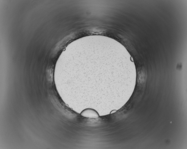X0000112360666200909241127