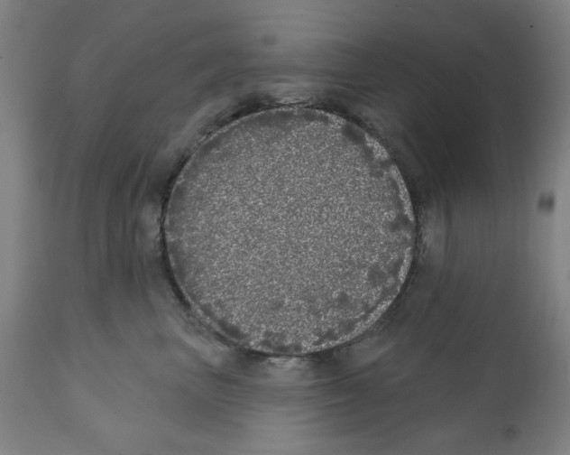 X0000112360667200909241127