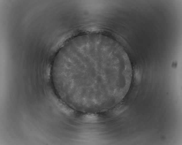 X0000112360668200909241127