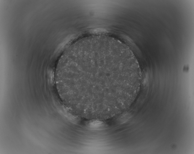 X0000112360669200909241127