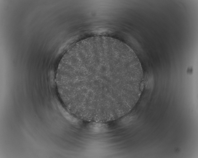 X0000112360670200909241127