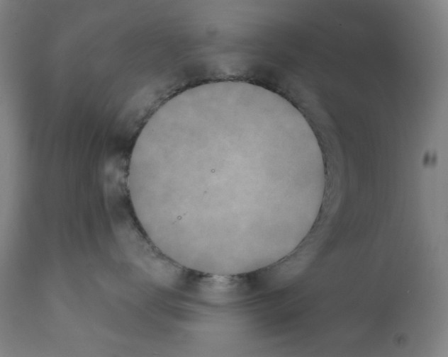 X0000112360672200909241127