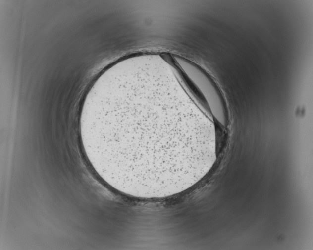 X0000112360673200909241127