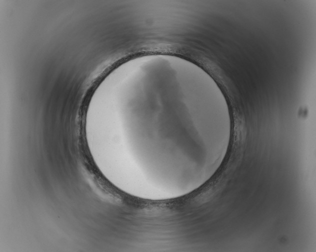 X0000112360674200909241127