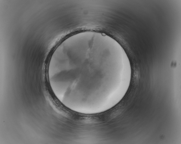 X0000112360678200909241126
