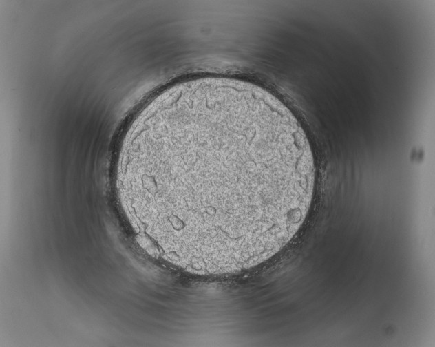 X0000112360679200909241126