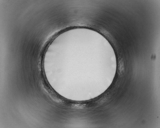 X0000112360680200909241126