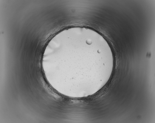 X0000112360681200909241126