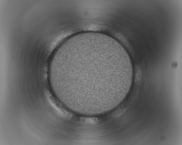 X0000112360683200909241126
