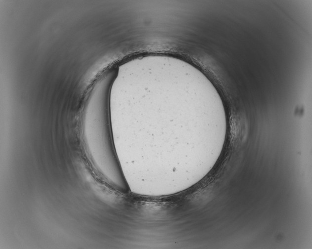 X0000112360684200909241126