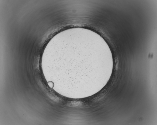 X0000112360685200909241126