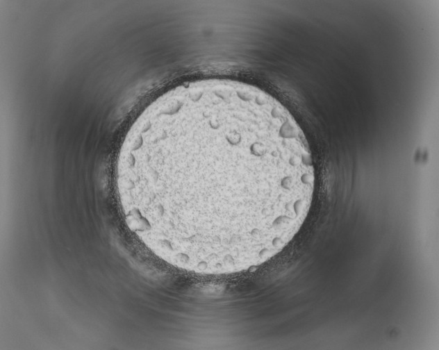 X0000112360687200909241126