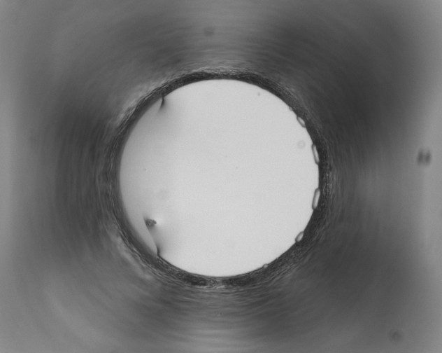 X0000112360688200909241126
