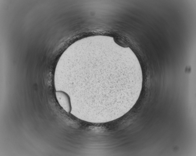 X0000112360689200909241126