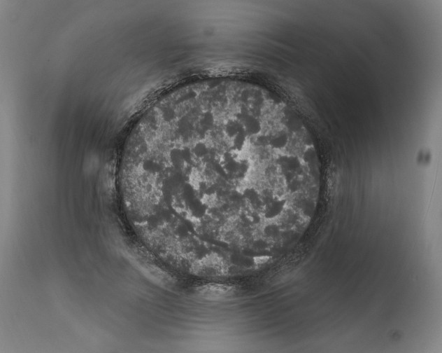 X0000112360691200909241126