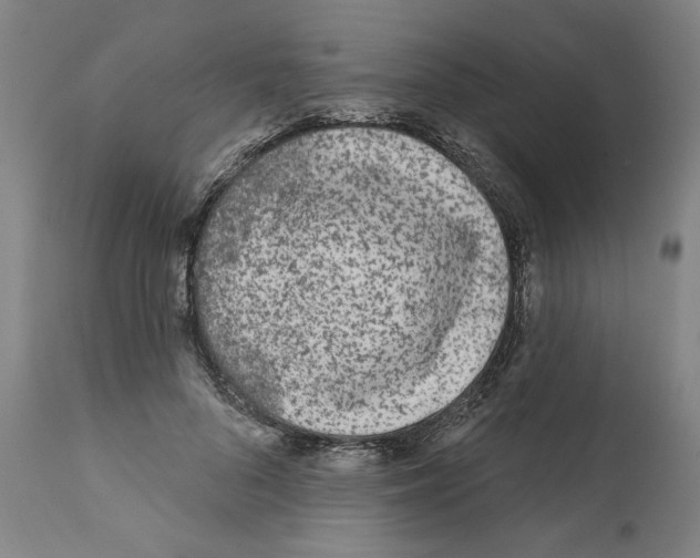 X0000112360696200909241126