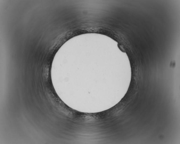 X0000112360697200909241126