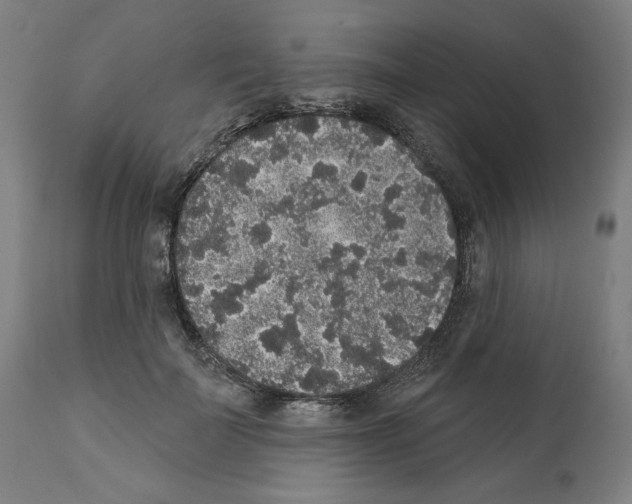 X0000112360699200909241126